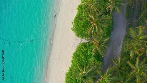 Aerial top view on palm trees on the sunny sandy beach and turquoise ocean from above. Amazing summer nature landscape photo