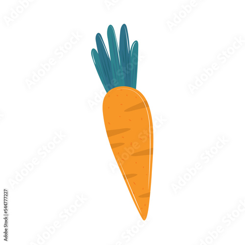 carrot vegetable icon