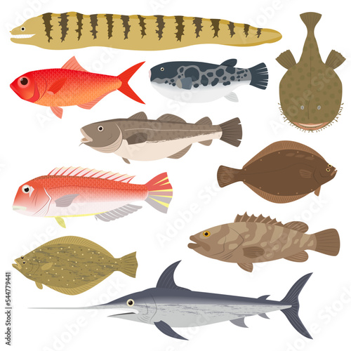 魚のイラスト