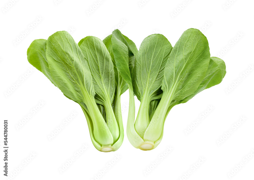 Bok choy vegetable on transparent png Bok choy vegetable on transparent png