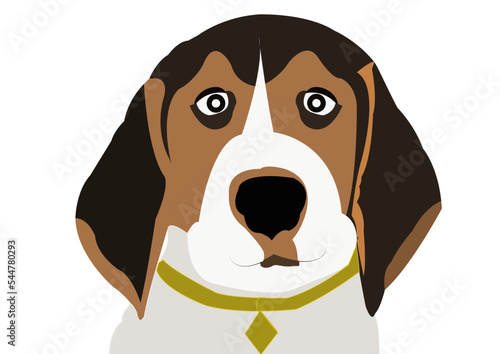 ILLUSTRATION OF Beagle DOG DRAWING