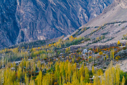 Autumn view of Hunza valley with Mount Rakaposhi (7,788m) - a mountain in the Karakoram mountain range of the Gilgit-Baltistan territory of Pakistan