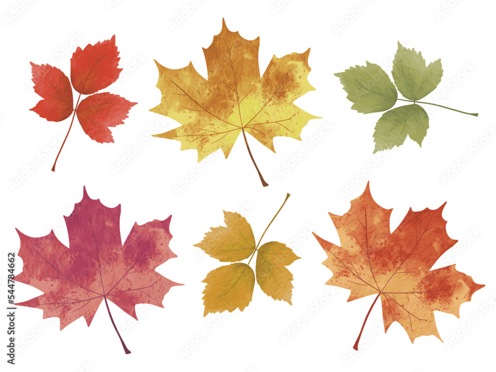 Fototapeta premium Watercolor leaves collection. Autumn watercolor leaves and isolated on white background. Leaf fall elements for Thanksgiving, and autumnal holidays design elements