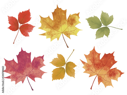 Watercolor leaves collection. Autumn watercolor leaves and isolated on white background. Leaf fall elements for Thanksgiving, and autumnal holidays design elements