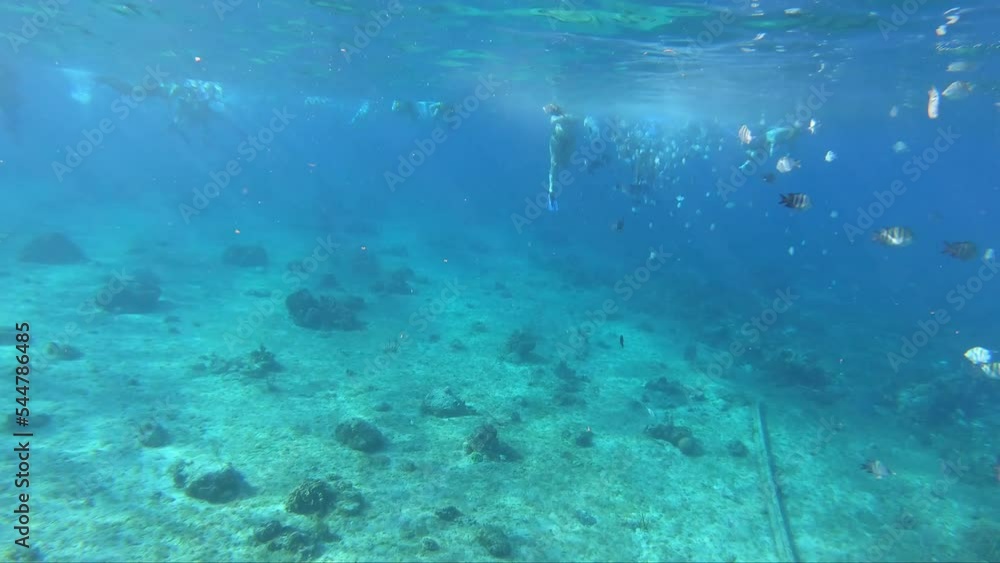 snorkeling in blue sea with a school of fishes | Tourists enjoying snorkeling experience in deep blue sea with lots of small fishes around | lots of small fishes swimming near a people snorkeling snorkeling in blue sea with a school of fishes | Tourists enjoying snorkeling experience in deep blue sea with lots of small fishes around | lots of small fishes swimming near a people snorkeling