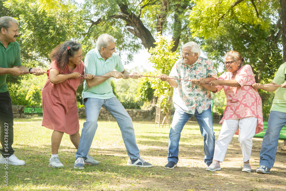 Fototapeta premium Group Of Senior Indian People Playing Tug War Outdoor In Park. Retirement life.