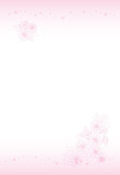 繊細な線画　ピンクの菊