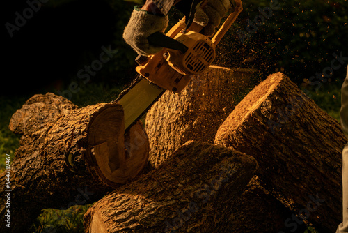 electric chainsaws cut trees in the forest for building a house and making firewood The concept of deforestation