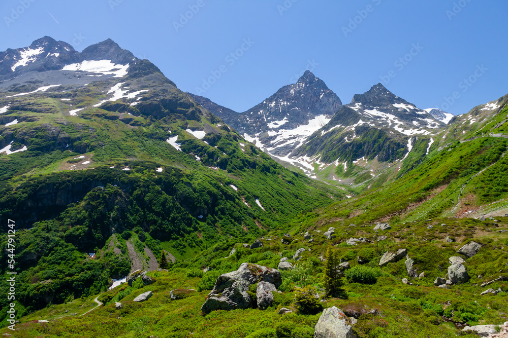 Panoramic view of green alpine meadows and mountains