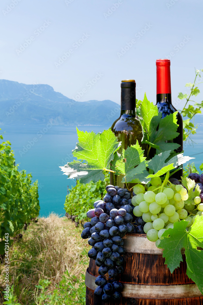 Red and white wine bottles and grapes on wine barrel