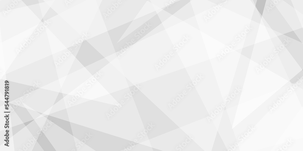 Abstract white and grey glossy squares abstract tech banner design .Geometric lines angles and triangle shapes Texture of an old surface .white crumpled paper, abstract geometric, luxury, with lines . Abstract white and grey glossy squares abstract tech banner design .Geometric lines angles and triangle shapes Texture of an old surface .white crumpled paper, abstract geometric, luxury, with lines .