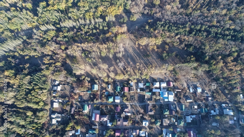 Aerial view of houses surrounded by forest