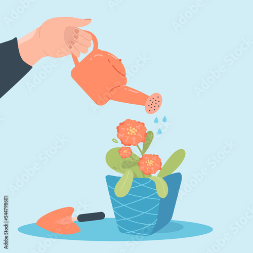 Person watering wilted flower in pot flat vector illustration. Hand holding watering pot. Person taking care of plant or houseplant. Gardening, nature, growing, foliage concept