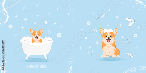 Cute corgi dog in bathtub in flat style. Illustration of pet grooming for content, banner, greeting card. Vector