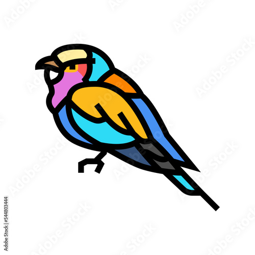 lilac breasted roller bird exotic color icon vector. lilac breasted roller bird exotic sign. isolated symbol illustration