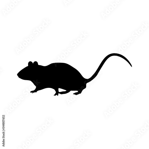 The rat icon. Black silhouette of a rat. A pet. A pest. Vector illustration isolated on a white background for design and web.
