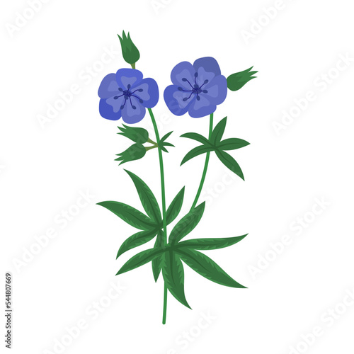 blue bright Wild flower vector illustration. Meadow or field flowers, yellow buttercup and dandelion, bells, poppies isolated