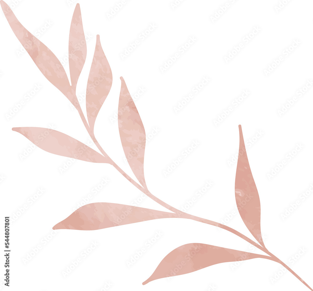 Watercolor leaf branch illustration