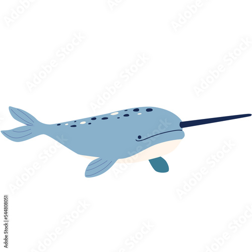 Narwhal vector illustration in flat color design