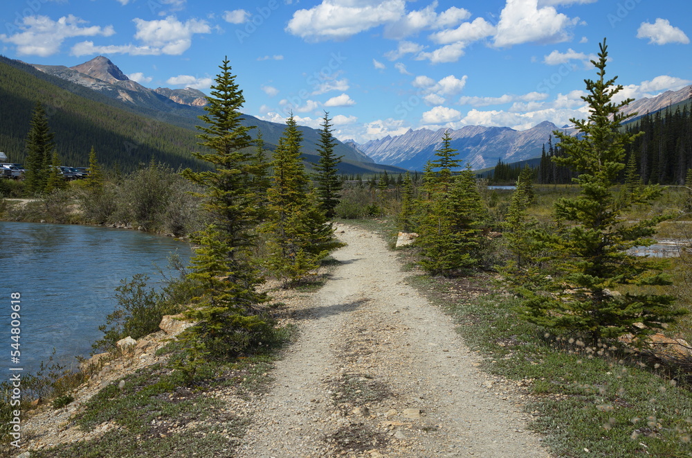 Hiking track to Stanley Falls in Jasper National Park,Alberta,Canada,North America
