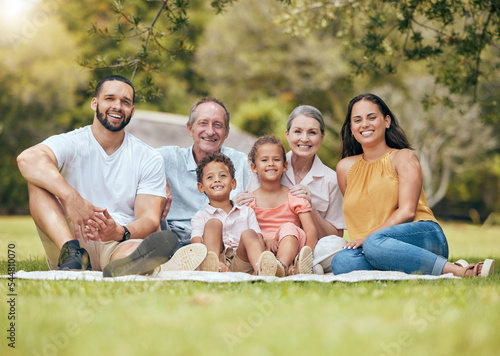 Big family, picnic and outdoor at nature park or garden with children, parents and grandparents together in happiness and love. Summer vacation with women, men and kids with a smile, support and care © Delcio F/peopleimages.com