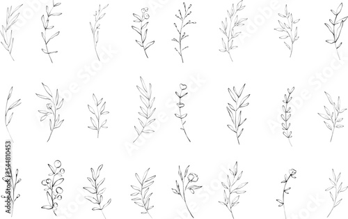 Set of delicate ink floral and flowers, branch and leaves. Elegant logo template. Vector illustration for labels, branding business identity, wedding invitation