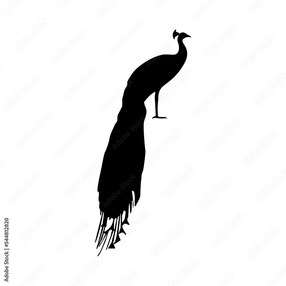 Obraz premium peacock silhouette logo