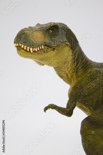 Fototapeta Naklejka Na Ścianę i Meble -   parte del cuerpo de un Tyrannosaurus T-rex  aislado en fondo blanco