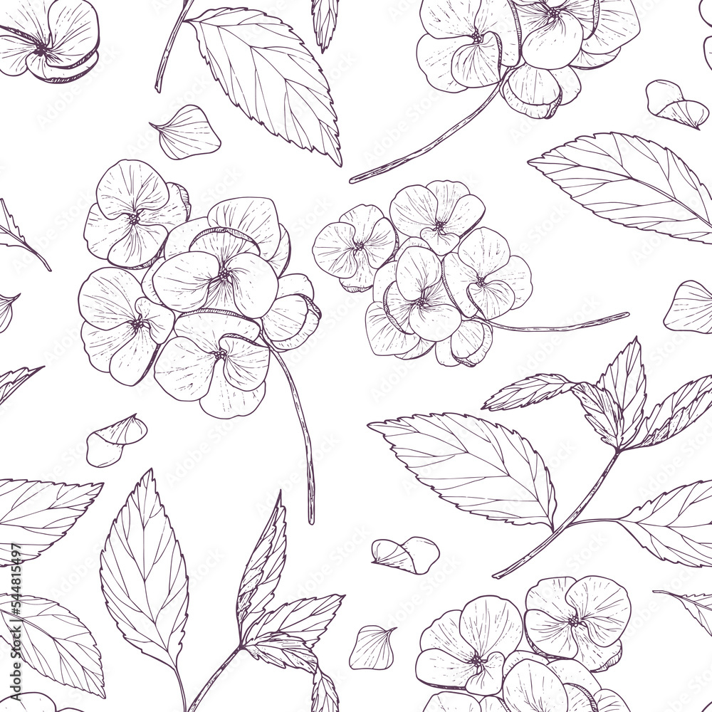 Fototapeta premium Floral contour drawing on a white background. Hydrangea inflorescences, leaves and twigs, seamless pattern. Vector.