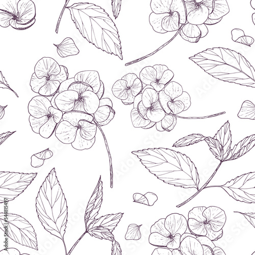Floral contour drawing on a white background. Hydrangea inflorescences, leaves and twigs, seamless pattern. Vector.