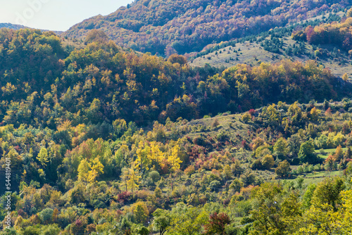 Autumn Mountain Landscape with Colorful Trees . Balkan Mountains , Bulgaria 