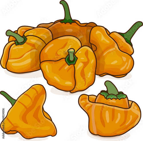 Group of yellow scotch bonnet peppers. Capsicum chinense. Hot chili pepper. Fresh organic vegetables. Cartoon style. Vector illustration isolated on white background.