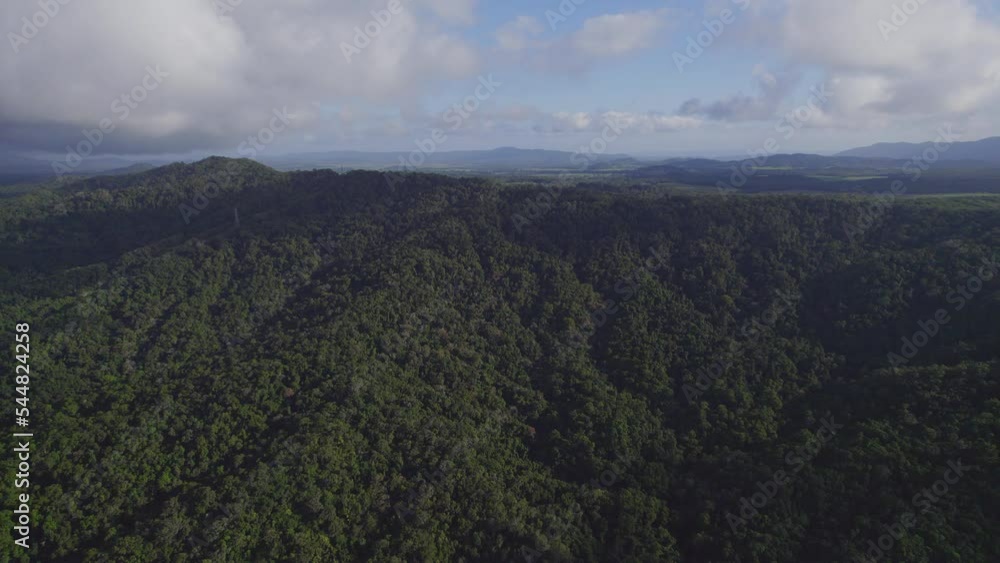Tropical Rainforest Mountainscape In Port Douglas, Far North Queensland, Australia - aerial shot Tropical Rainforest Mountainscape In Port Douglas, Far North Queensland, Australia - aerial shot