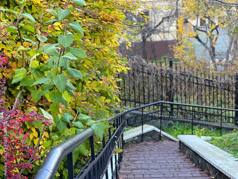 Staircase steps in autumn park.