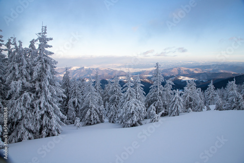 Wallpaper Mural magical frozen winter landscape with snow covered fir trees Torontodigital.ca