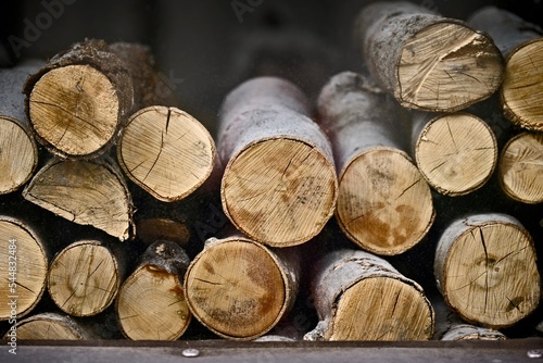 Stacked chopped firewood for the winter. Energy crisis concept.