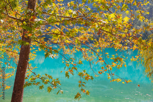 Namrun mountain autumn lake with tree, Mersin Turkey