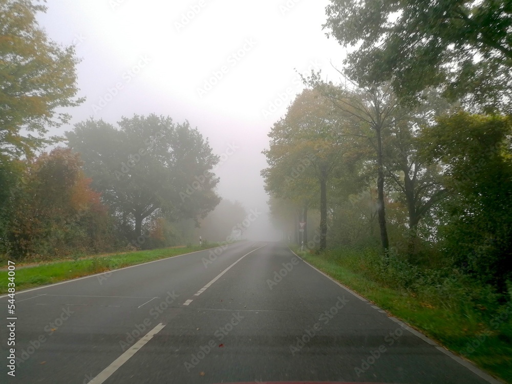 Nebel auf Straße im Herbst Nebel auf Straße im Herbst