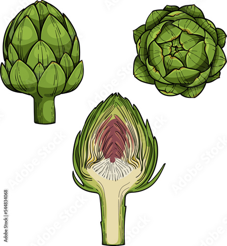 Artichoke Engraving sketch style hand drawn vector illustration. Organic vegetarian product. isolated on white background.