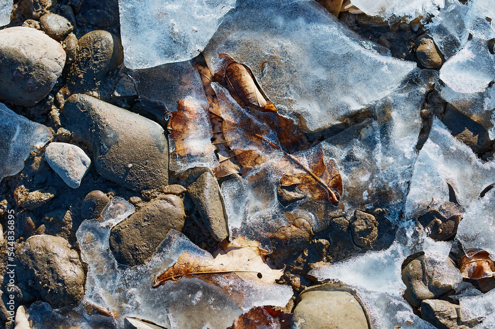 Rounded stones frozen into the ice on the banks of the Amur bask in the sun and thaw. Close up top view. Natural abstract texture background. Autumn leaf under winter ice. Copy space. Rounded stones frozen into the ice on the banks of the Amur bask in the sun and thaw. Close up top view. Natural abstract texture background. Autumn leaf under winter ice. Copy space.