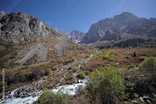 Landscape of Tien Shan mountains with a small river