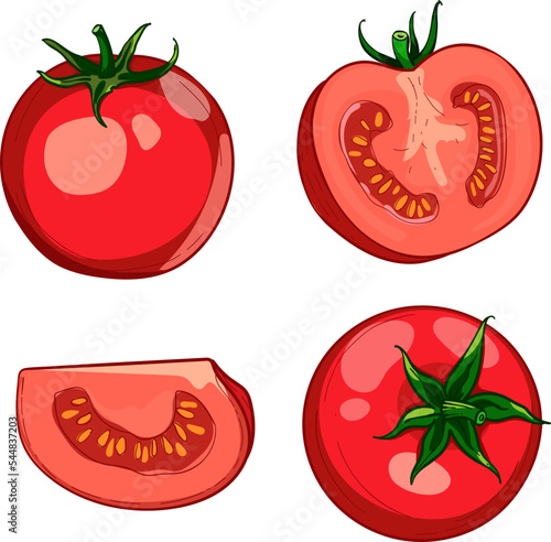 Hand-drawn colorful red tomato. A set of sketches with sliced tomatoes, a sliceof tomatoes. The vector illustration is isolated on a white background. photo