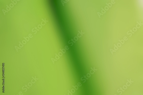 Green abstract background, wave green gradient background, blurred smooth texture, for design, web