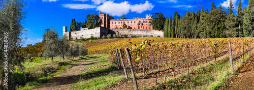 Italy, scenery of Tuscany. panoramic view of beautiful medieval castle Castello di Brolio in Chianti region surrounded by golden autumn vineyards photo