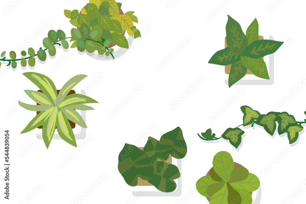 Obraz premium オシャレな観葉植物のイラスト 