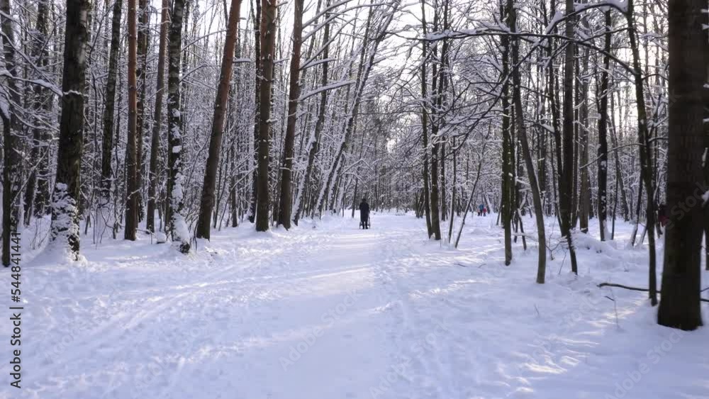 Girl with the baby carriage is walking in a winter park. Passage on a snowy pathway. Girl with the baby carriage is walking in a winter park. Passage on a snowy pathway.