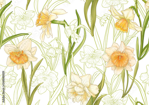 White daffodils and tulips flowers  the early spring flowers. Seamless pattern  background. Vector illustration. In botanical style