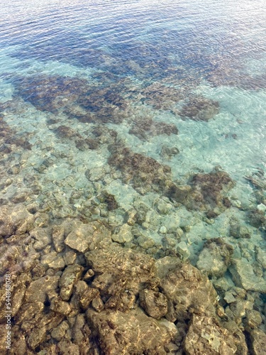 Transparent sea water  bottom of the sea  azure water