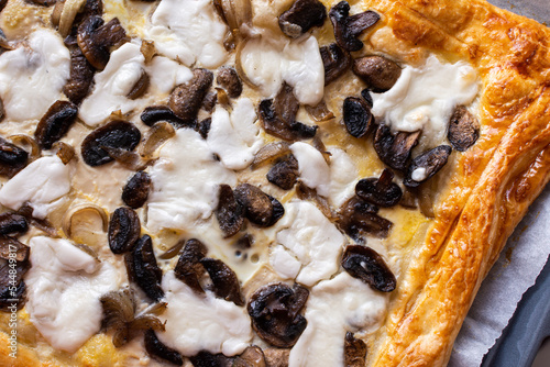 Yeast dough pie with fried Champignon mushrooms, onions and cheese mozzarella