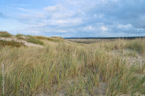 Dune landscape in Denmark by the sea. Trip to the Baltic Sea. Vacation on the beach
